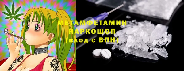 прущие грибы Вязьма