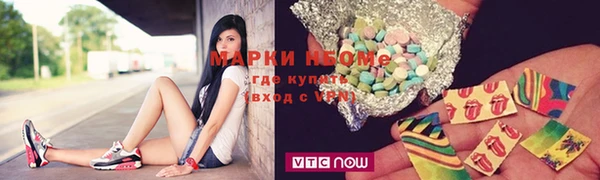 прущие грибы Вязьма