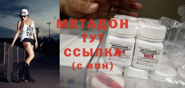 прущие грибы Вязьма