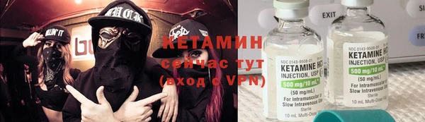прущие грибы Вязьма