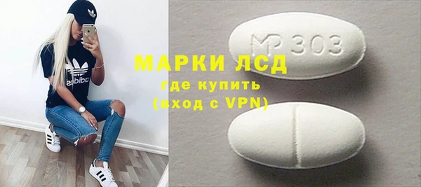 прущие грибы Вязьма