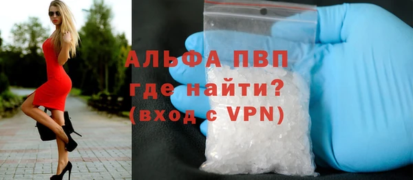 сатива Горнозаводск