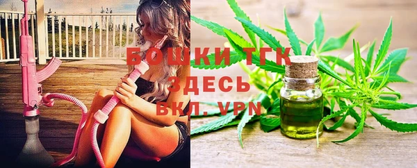 прущие грибы Вязьма