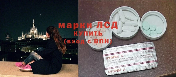 прущие грибы Вязьма