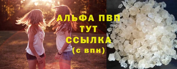 прущие крисы Вяземский