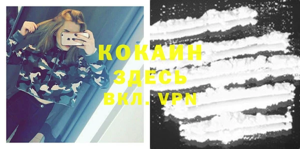 прущие крисы Вяземский