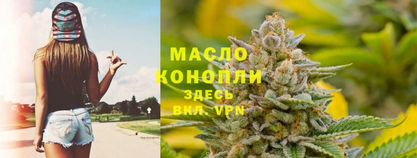 прущие грибы Вязьма